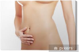 Most women have a preference for thinner body types, less muscular development, and less body fat. Beautiful Nude Fit Woman Body Canvas Print Pixers We Live To Change