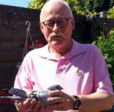 Smitz Jan (Stein) : jonge duif op afspraak