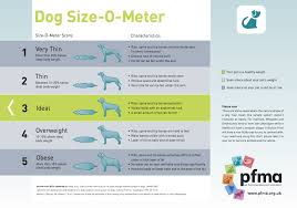 dog size o meter pfma