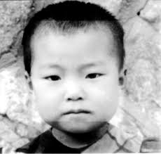 Living a Parallel Life: Memoirs and Research of a Transnational Korean  Adoptee