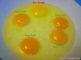 I learned about it while traveling through southeast asia, and it's been my favorite way to eat eggs since. Store Bought Vs Farm Fresh Eggs Back Roads Living