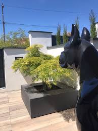 Comment planter un érable du japon en pot ? La Poesie De L Erable Du Japon Osez Planter Ca Pousse