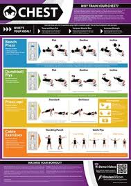 Gym And Fitness Chart Chest L
