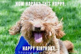 20 Happy Birthday Dog Memes That Will Make Your Barkday Even Brighter Happy Birthday Dog Happy Birthday Dog Meme Birthday Meme Dog