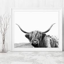 Black And White Bull Canvas Bull Canvas Print Cow Canvas Highland Cow Canvas Modern Wall Decor Art