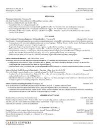 maintenance planner resume examples