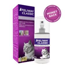 What to do when your cat sprays. How To Stop Cats Spraying In The House
