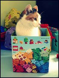Duplo Cat Duplikat Duplo Cats Lego