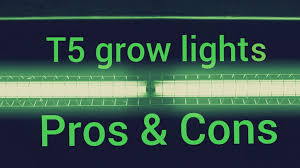 Maybe you would like to learn more about one of these? 23 T5 Grow Lights Ideas Grow Lights Growing Grow Light Fixtures