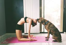 Love Yoga Loved And Pinned By Www Downdogboutique Com Online Yoga Classes How To Do Yoga Online Yoga