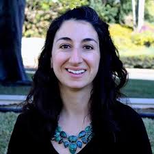 Vision Zero in South County