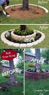 Crea Un Acento De Paisaje Alrededor De Los Troncos De Tu Jardin Con Piedras Apiladas D In 2020 Garden Yard Ideas Landscaping Around Trees Backyard Landscaping