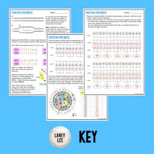 Using the processes of transcription and translation, you can, theoretically start with a strand of dna and calculate the amino acid chains for. Protein Synthesis Guided Practice Worksheet Pdf Digital Laney Lee