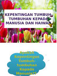 Hewan dan tumbuhan merupakan jenis makhluk hidup yang ada di dunia maka dari itu di dalam tubuhnya terdapat jaringan jaringan yang sangat apa saja kah jaringan yang terdapat di dalam tubuh hewan dan juga tubuh tumbuhan? Kepentingan Tumbuh Tumbuhan