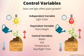 Variables según su operatividad las variables de operatividad se encuentran entre las más populares para una investigación gracias a que es posible darles un valor numérico y operar a partir de ellos. What Is A Control Variable Definition And Examples