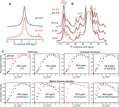 Check spelling or type a new query. Impact Of Acidic Ph On Plant Cell Wall Polysaccharide Structure And Dynamics Insights Into The Mechanism Of Acid Growth In Plants From Solid State Nmr Springerlink