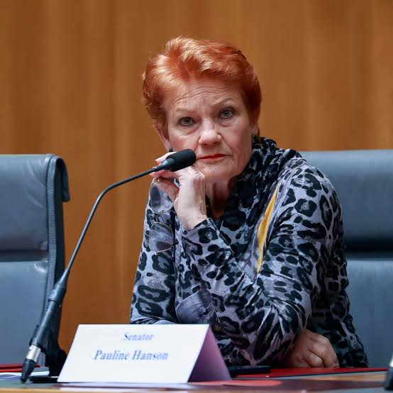 Pauline Hanson secured government solar rebate despite calling for subsidies to large-scale renewables to end | Pauline Hanson | The Guardian