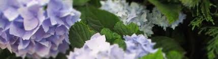 This is the last part before the epilogue. Trees Shrubs The Farmer S Daughter