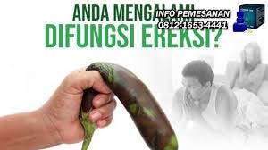 Beda dengan indonesia, di malaysia, pasar skuter matik tidak sebesar bebek yang mencapai 80 persen, hanya sekitar 17 persen. Cara Minum Hammer Of Thor Yg Benar El Maiz Es Un Manutencion Atavico Nutritivo