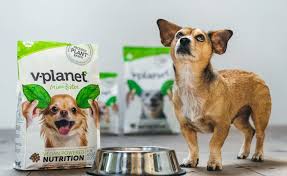 Easy vegan spaghetti & meat balls from the vegan 8. V Planet Introduces Line Of Vegan Dog Products In Thailand Veg World Magazine