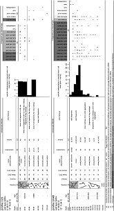 Image result for Ancylobothrys pyriformis