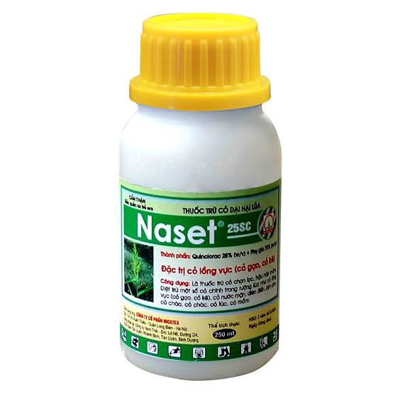 Naset 25SC