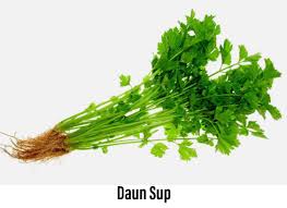 Detect language english german french italian spanish. Cyberjaya Info On Twitter Daun Sup Daun Ketumbar Daun Parsley