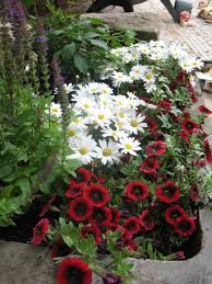 We did not find results for: Jardiniere 8 D Ete Mi Ombre Brin Et Brindille Atelier Saisonnier