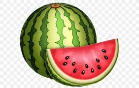 Watermelon Fruit Drawing Png 600x519px Watermelon Auglis Citrullus Cucumber Cucumber Gourd And Melon Family Download Free All melons clip art are png format and transparent background. watermelon fruit drawing png