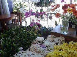 Requested a cactus/succulent/plant for a new shop in the neighborhood. 12 Fashionable Flower Shops Botany Boutiques For Mother S Day Blooms Racked La