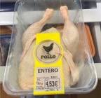 Pollo