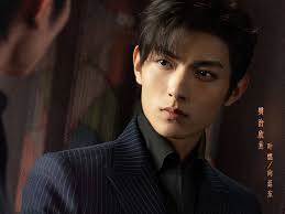 Perankan Karakter Kembar, Ini Profil dan Biodata Fan Zhi Xin Pemeran Drama  China Be Your Knight