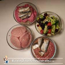 Cooking For Cats Homemade Cat Food Beef Turkey Chicken And Sardine Meatloaf Recipe Healthy Pet Food Homemade Cat Food Healthy Cat Food