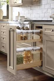 Base Container Organizer Pull Out Cabinet Decora Kitchen Cabinet Interior Kitchen Design Kitchen Cabinet Design