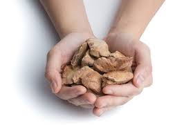 What are freeze dried treats? Raw Freeze Dried Other Pet Foods Gain Consumer Traction Petfoodindustry Com