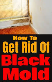 How To Get Rid Of Black Mold Naturally Cleaning Clean Cleaningtips Cleaninghack Essentialoils Cleaning Hacks Deep Cleaning Tips Cleaning