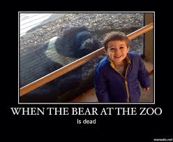 Funny Animal Meme Zoo Animal Memes Funny Animals Zoo