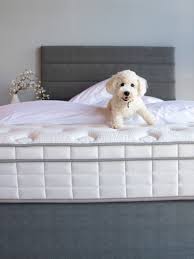 Mattresses Mattress Cheap Mattress Mattress Bedroom