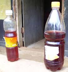 Image result for Dolichos trinervatus