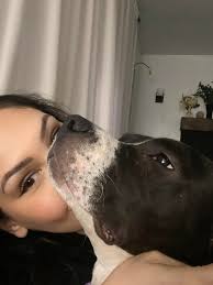 K9 training facility closing in South Carolina