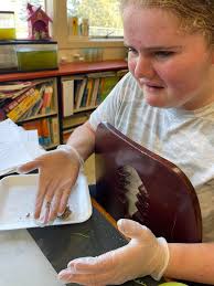 Owl pellet leads for 5th grade camp project