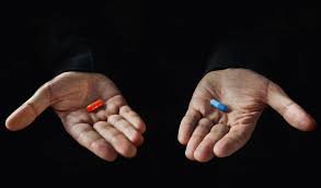 Unui barbat ii plac femeile sigure pe ele si independente, si nu cele care au nevoie de suport moral. Fenomen BÄƒrbaÈ›i Care UrÄƒsc Femeile La Fel De Mult Ca Pe Ei InÈ™iÈ™i Elle Ro