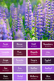 Pin On Garden Landscape
