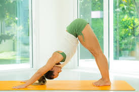 Practice yoga online with 500+ world class teachers. Yoga Is Challenge Day 1 Commitment Kino Macgregor Online Yoga Classes Author Yogi Ashtanga Teacher