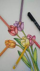 Gambar Bunga Tulip Kartun Berwarna Gambar Ngetrend Dan Viral