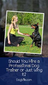 Dog Obedience Training Hire A Pro Or Do It Yourself Dogvills Dog Training Obedience Dog Training Easiest Dogs To Train