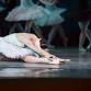 Swan Lake event image