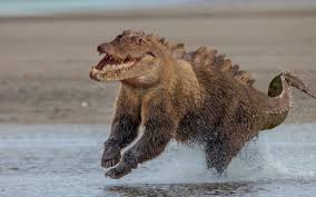 Wildlife photography is much more demanding than you would ever think. Photoshop Innovations Funny Complex Animals Funny Pictures