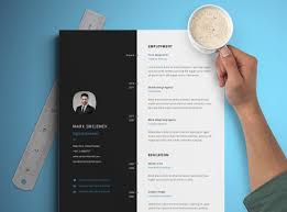 This template also come with portfolio and cover letter with matching design. 50 Best Cv Resume Templates 2021 Design Shack