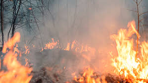 Incendio forestal obligó una evacuación preventiva de los sectores los pinos, colinas de oro, las ahora puedes inscribirte para recibir en tu correo electrónico las principales noticias de publimetro. Quien Paga Ahora Los Danos De Los Incendios